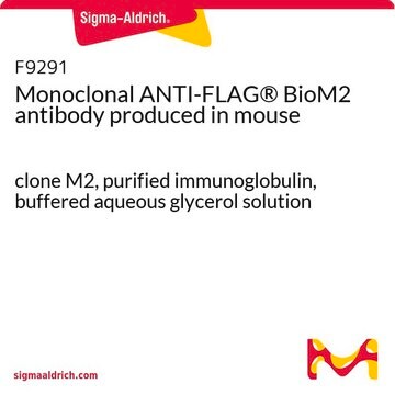 Monoclonal ANTI-FLAG&#174; BioM2 antibody produced in mouse clone M2, purified immunoglobulin, buffered aqueous glycerol solution