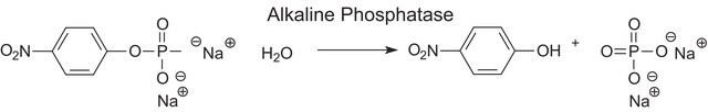 Phosphatase, Alkaline from bovine intestinal mucosa buffered aqueous solution, &#8805;2,000&#160;DEA units/mg protein