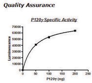 PI3 kinase (p120g) Active human recombinant, expressed in baculovirus infected insect cells, &#8805;90% (SDS-PAGE)