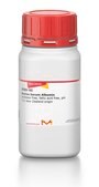 Bovine Serum Albumin heat shock fraction, New Zealand origin, protease free, IgG free, fatty acid free, Ph 7.0, &#8805;98%