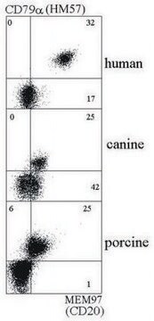 Monoclonal Anti-CD79A antibody produced in mouse clone HM47, purified immunoglobulin, buffered aqueous solution