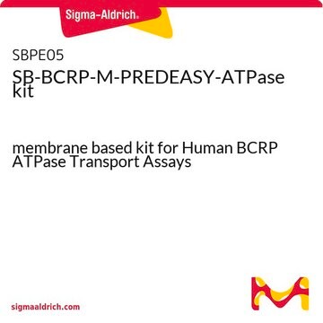 SB-BCRP-M-PREDEASY-ATPase kit membrane based kit for Human BCRP ATPase Transport Assays