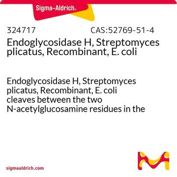 Endoglycosidase H, Streptomyces plicatus, Recombinant, E. coli Endoglycosidase H, Streptomyces plicatus, Recombinant, E. coli cleaves between the two N-acetylglucosamine residues in the diacetylchitobiose core of the oligosaccharide.