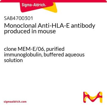 Monoclonal Anti-HLA-E antibody produced in mouse clone MEM-E/06, purified immunoglobulin, buffered aqueous solution