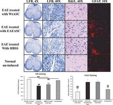 Anti-Glial Fibrillary Acidic Protein (GFAP)&#8722;Cy3&#8482; antibody, Mouse monoclonal clone G-A-5, purified from hybridoma cell culture