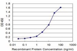 Monoclonal Anti-RPS29 antibody produced in mouse clone 3G9, purified immunoglobulin, buffered aqueous solution