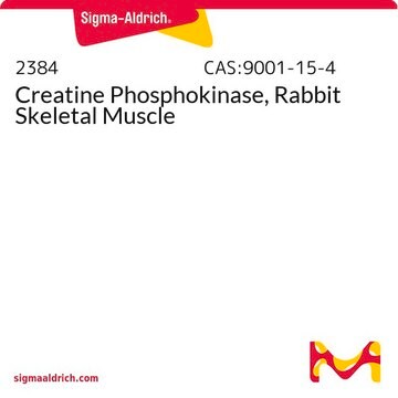 Creatine Phosphokinase, Rabbit Skeletal Muscle