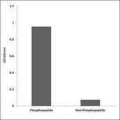 Anti-phospho-TOP2A (pSer1106) antibody produced in rabbit affinity isolated antibody