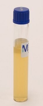 ReadyTube&#174; Yeast Extract Agar For the enumeration of culturable microorganism in water samples in accordance with ISO 6222, pkg of (18 ml in 25 ml tube with blue cap (20 or 100 tubes per box))