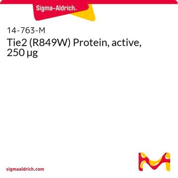 Tie2 (R849W) Protein, active, 250 µg