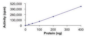 AKT1 (E17K), Active PRECISIO&#174; Kinase, recombinant