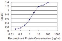 ANTI-KIT antibody produced in mouse clone 3A8, purified immunoglobulin, buffered aqueous solution