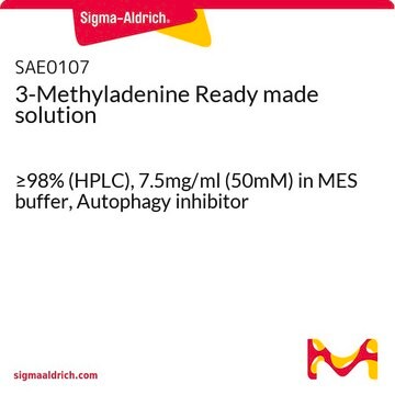 3-Methyladenine Ready made solution &#8805;98% (HPLC), 7.5mg/ml (50mM) in MES buffer, Autophagy inhibitor