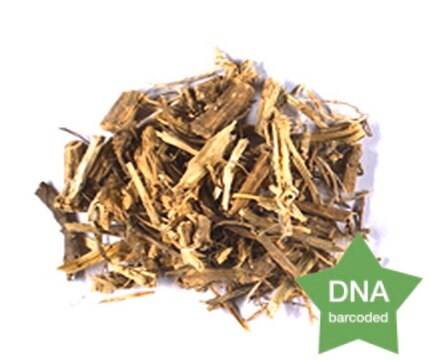 Urtica dioica Root and rhizome Botanical reference material
