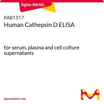 Human Cathepsin D ELISA for serum, plasma and cell culture supernatants