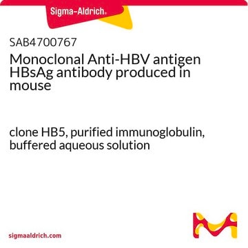 Monoclonal Anti-HBV antigen HBsAg antibody produced in mouse clone HB5, purified immunoglobulin, buffered aqueous solution