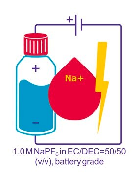 Sodium hexafluorophosphate solution in ethylene carbonate and diethylcarbonate, 1.0 M NaPF6 in EC/DEC=50/50 (v/v), battery grade