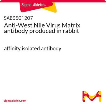 Anti-West Nile Virus Matrix antibody produced in rabbit affinity isolated antibody