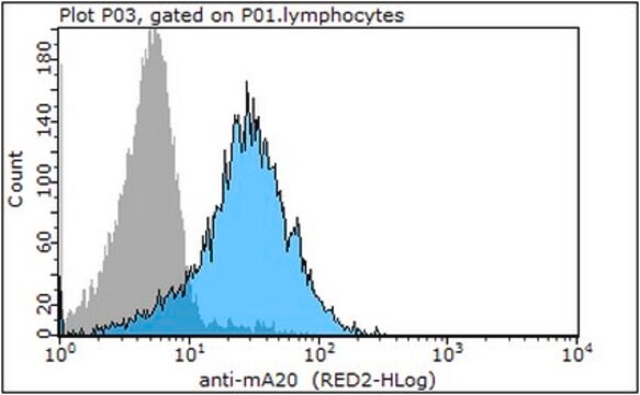 Anti-mA20 Antibody/TNFAIP3, clone 37 clone 37, 0.5&#160;mg/mL, from rat