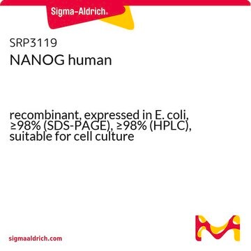 NANOG human recombinant, expressed in E. coli, &#8805;98% (SDS-PAGE), &#8805;98% (HPLC), suitable for cell culture