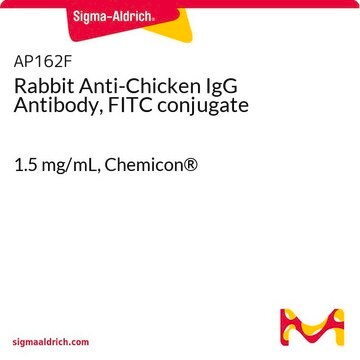 Rabbit Anti-Chicken IgG Antibody, FITC conjugate 1.5&#160;mg/mL, Chemicon&#174;