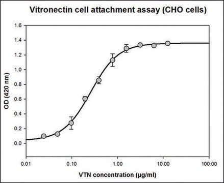 Vitronectin human recombinant, expressed in HEK 293 cells, &#8805;95% (SDS-PAGE), &#8805;95% (HPLC), suitable for cell culture