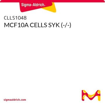 MCF10A CELLS SYK (-/-)