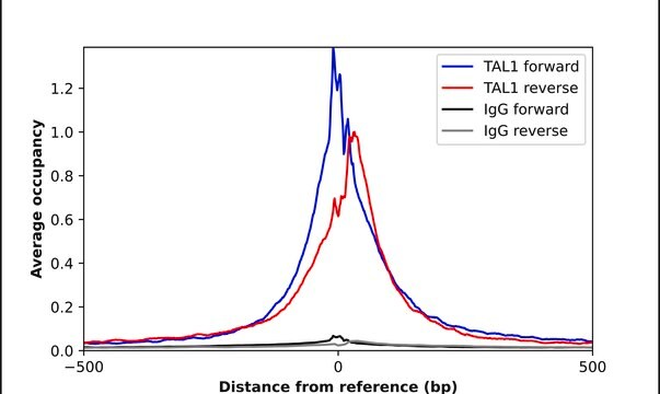 Anti-TAL1 antibody produced in rabbit Prestige Antibodies&#174; Powered by Atlas Antibodies, affinity isolated antibody
