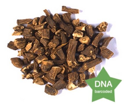 Taraxacum officinale Root Botanical reference material