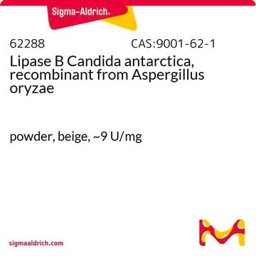 Lipase B Candida antarctica, recombinant from Aspergillus oryzae powder, beige, ~9&#160;U/mg