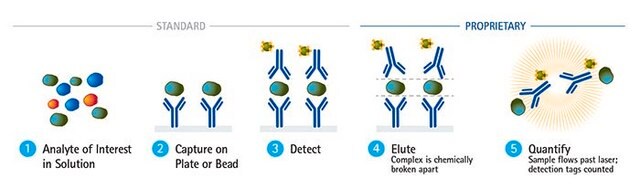 SMC&#174; Human IL-10 High Sensitivity Immunoassay Kit