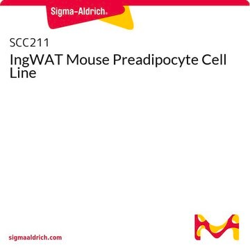 IngWAT Mouse Preadipocyte Cell Line