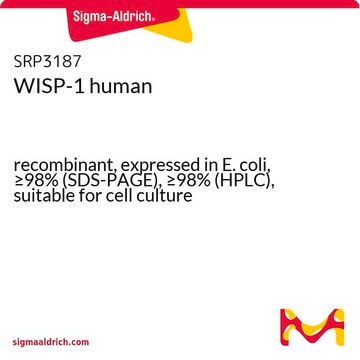 WISP-1 human recombinant, expressed in E. coli, &#8805;98% (SDS-PAGE), &#8805;98% (HPLC), suitable for cell culture