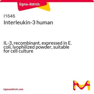 Interleukin-3 human IL-3, recombinant, expressed in E. coli, lyophilized powder, suitable for cell culture