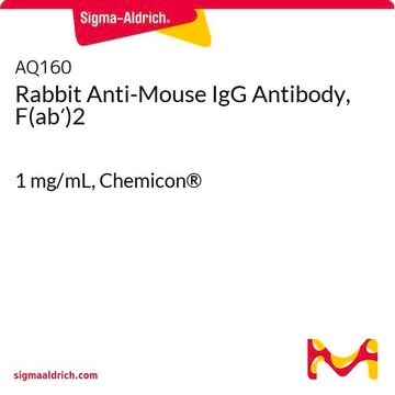 Rabbit Anti-Mouse IgG Antibody, F(ab&#8242;)2 1&#160;mg/mL, Chemicon&#174;