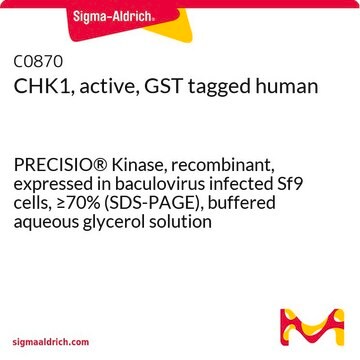 CHK1, active, GST tagged human PRECISIO&#174; Kinase, recombinant, expressed in baculovirus infected Sf9 cells, &#8805;70% (SDS-PAGE), buffered aqueous glycerol solution