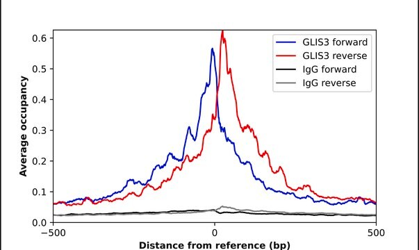 Anti-GLIS3 antibody produced in rabbit Prestige Antibodies&#174; Powered by Atlas Antibodies, affinity isolated antibody, buffered aqueous glycerol solution
