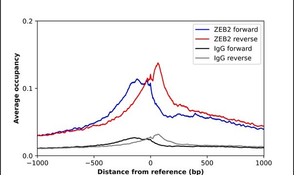 Anti-ZEB2 antibody produced in rabbit Prestige Antibodies&#174; Powered by Atlas Antibodies, affinity isolated antibody, buffered aqueous glycerol solution