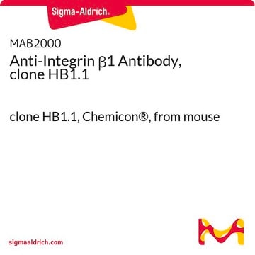 Anti-Integrin &#946;1 Antibody, clone HB1.1 clone HB1.1, Chemicon&#174;, from mouse