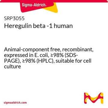 Heregulin beta -1 human Animal-component free, recombinant, expressed in E. coli, &#8805;98% (SDS-PAGE), &#8805;98% (HPLC), suitable for cell culture