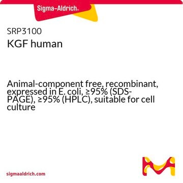 KGF human Animal-component free, recombinant, expressed in E. coli, &#8805;95% (SDS-PAGE), &#8805;95% (HPLC), suitable for cell culture