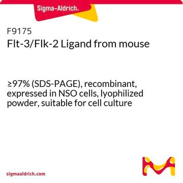 Flt-3/Flk-2 Ligand from mouse &#8805;97% (SDS-PAGE), recombinant, expressed in NSO cells, lyophilized powder, suitable for cell culture