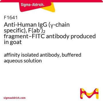 Anti-Human IgG (&#947;-chain specific), F(ab&#8242;)2 fragment–FITC antibody produced in goat affinity isolated antibody, buffered aqueous solution