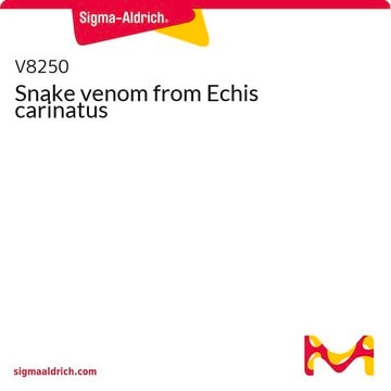 Snake venom from Echis carinatus