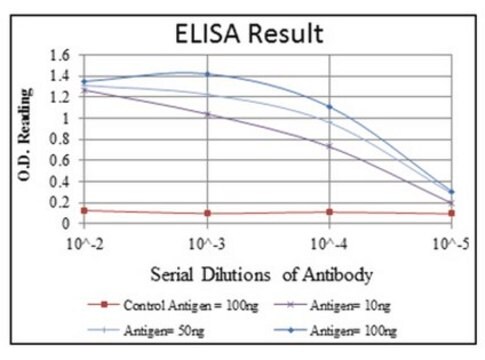 Anti-LIMS1, clone 5G7 Antibody ascites fluid, clone 5G7, from mouse