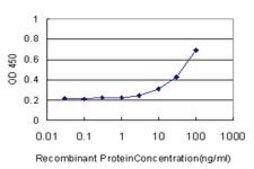 Monoclonal Anti-CA8 antibody produced in mouse clone 1F7, purified immunoglobulin, buffered aqueous solution