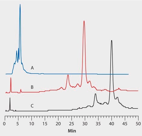 HPLC Analysis of mAb-X22 on Antibodix&#174; WCX-NP10, Impact of Initial Salt Concentration application for HPLC