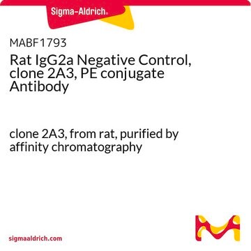 Rat IgG2a Negative Control, clone 2A3, PE conjugate Antibody clone 2A3, from rat, purified by affinity chromatography