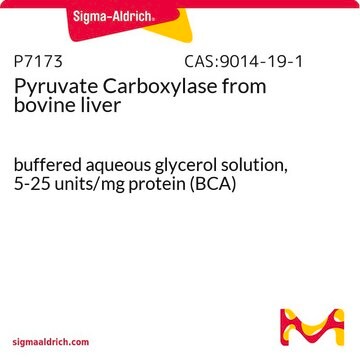 Pyruvate Carboxylase from bovine liver buffered aqueous glycerol solution, 5-25&#160;units/mg protein (BCA)