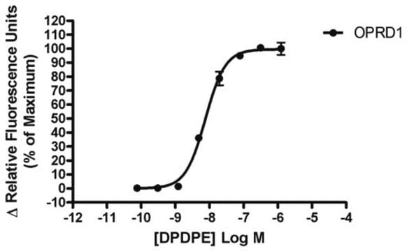 Ready-to-Assay delta Opioid Receptor Frozen Cells Human Delta / OP1 / DOP / DOR GPCR frozen cells for Calcium Flux FLIPR Assays.